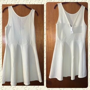 New with tags skater dress